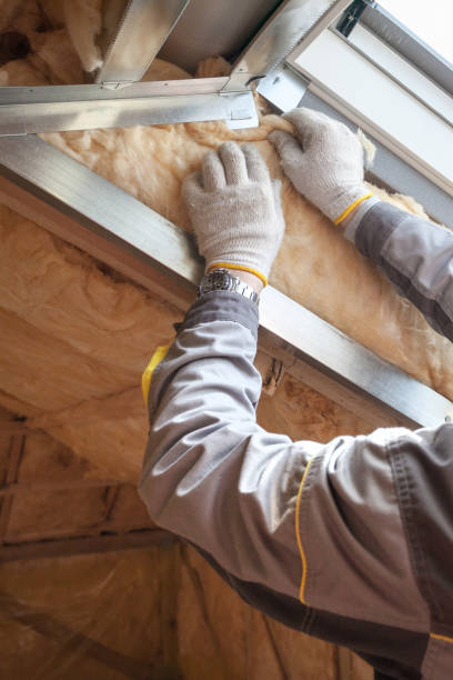 Best Cellulose Insulation in Frankfort, IN